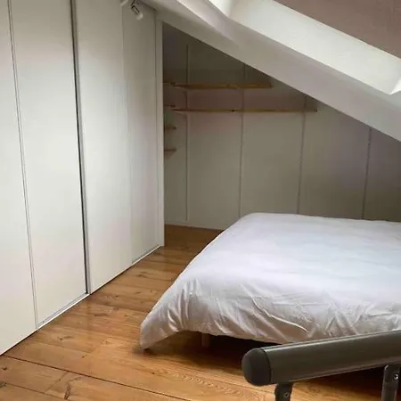 T2 Duplex4 Hyper-centre Climatise Lägenhet Albi