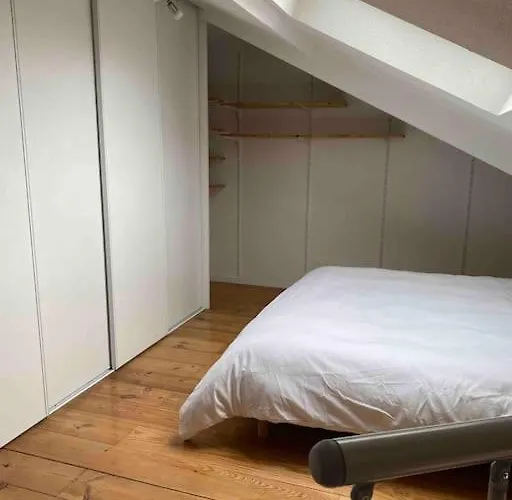 T2 Duplex4 Hyper-centre Climatise Lägenhet Albi