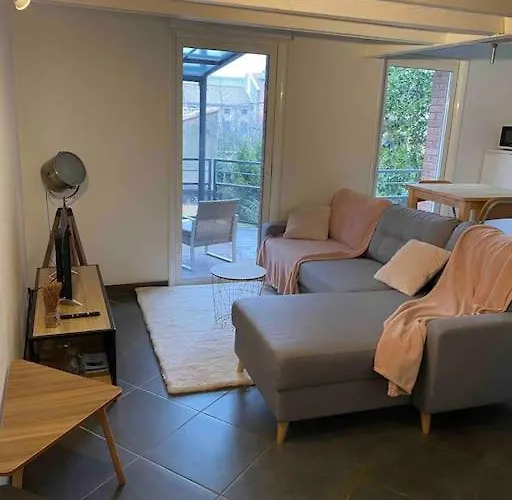 Lägenhet T2 Duplex4 Hyper-centre Climatise Albi