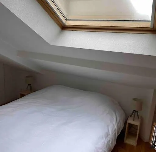 T2 Duplex4 Hyper-centre Climatise * Albi