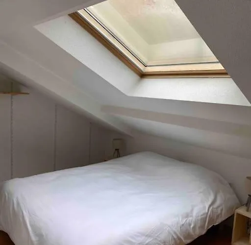 Lägenhet T2 Duplex4 Hyper-centre Climatise Albi