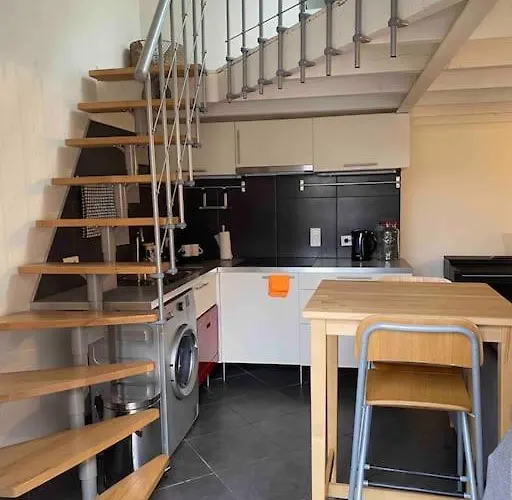 T2 Duplex4 Hyper-centre Climatise * Albi