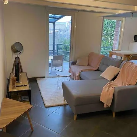 アパート T2 Duplex4 Hyper-centre Climatise アルビ