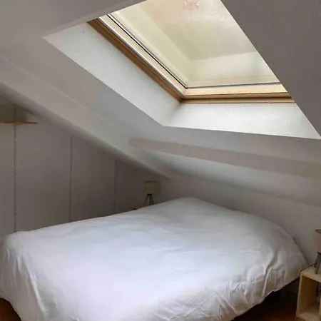 アパート T2 Duplex4 Hyper-centre Climatise アルビ