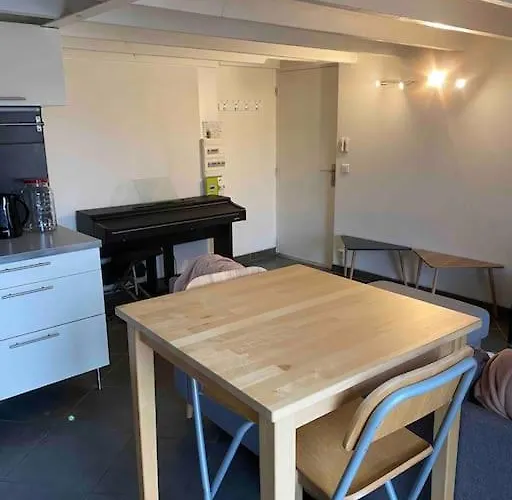 T2 Duplex4 Hyper-centre Climatise Apartment Albi